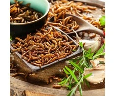 Baltojo šokolado saldainis ant pagaliuko su traškiais skrudintais kirminais