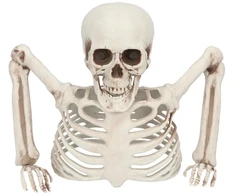 Boland Party Partners B.V. Dekoracija „Skeletas iš kapo“, 20 cm