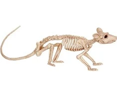 Helovino statulėlė "Žiurkės skeletas"