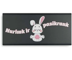 Išorinė baterija "Pasikrauk" (10000 mAh)