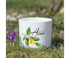 Keramikinis vazonas "Ačiū"