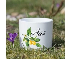 Keramikinis vazonas "Ačiū"