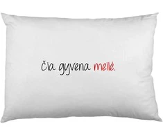 Pagalvės užvalkalas "Čia gyvena meilė"
