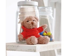 Pliušinis meškiukas "Teddy Bear"