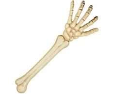 Boland Traciks Skeleto ranka (46cm)