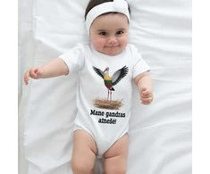 Smėlinukas "Mane gandras atnešė"