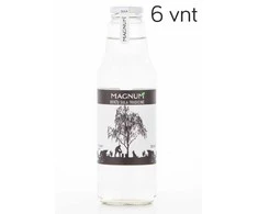 Beržų sula Tradicinė, Magnum, 750 ml x 6 vnt