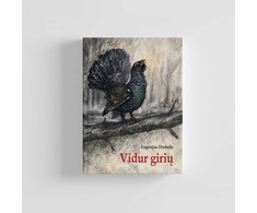 BEF Knyga Eugenijus Drobelis: VIDUR GIRIŲ