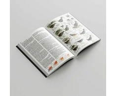 Ornitostogos Knyga Europos paukščių pažinimo vadovas: COLLINS BIRD GUIDE