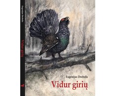 BEF Knyga Eugenijus Drobelis: VIDUR GIRIŲ