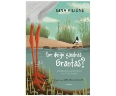 Tyto Alba Knyga Gina Viliūnė: KUR DINGO GANDRAS GRANTAS
