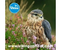 Valiklis Optikos valymo šluostė Viking - startsakalis