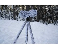 Tragopan Maskuotė 3D mažesniam foto objektyvui sniegas