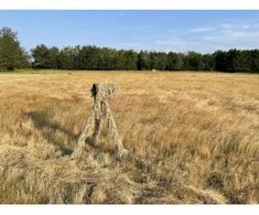 Tragopan Maskuotė trikojui Ghillie smėlio spalvos