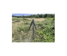 Tragopan Maskuotė trikojui Ghillie