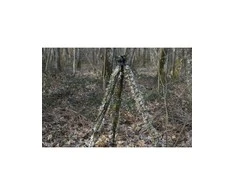 Tragopan Maskuotė trikojui
