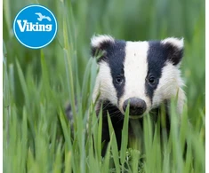 Žiūronai VIKING BADGER 10x50