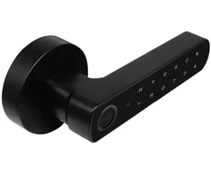 Digitalas DI-D100BT ( Tuya ) Išmanioji durų spyna