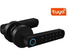Digitalas DI-D100BT ( Tuya ) Išmanioji durų spyna