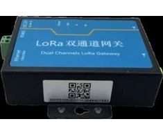 Digitalas LoRa-GW-1 Bluetooth-WIFI valdiklis prie išmanių LoRa spynų nuotoliniam valdymui per WIFI arba internetą