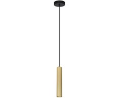 Italux Pakabinamas šviestuvas Rilok PND-83920-1-GD