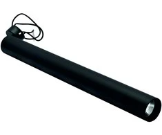 Pakabinamas šviestuvas Lubinis/pakabinamas LED šviestuvas 600mm, 10W, 3000K, juodas