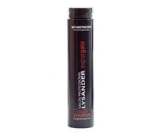 WT METHODE šampūnas pažeistiems plaukams LYSANDER VITALITY, 250 ml