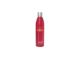 WT METHODE Šampūnas plaukams ANTI-AGE, 250 ml