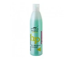 WT METHODE Spalvą sugantis šampūnas dažytiems, šviesintiems, tonuotiems plaukams COLOR REPAIR, 250 ml