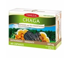 TEREZIA CHAGA IR REISHI GRYBAI SU ŠALTALANKIŲ ALIEJUMI