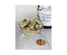 Didžiosios dilgėlės šaknis Stinging Nettle Root, Swanson, 500mg, 100 kapsulių