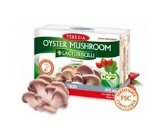 TEREZIA OYSTER GRYBAS SU ERŠKĖTUOGĖMIS 60 KAPSULIŲ