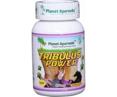 Ayumi Naturals Gulsčioji ragužė Tribulus Power, ekologiška, Planet Ayurveda, 60 kapsulių