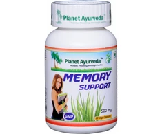 Ayumi Naturals Maisto papildas atminčiai Memory Support, Planet Ayurveda, 60 kapsulių