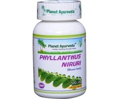 Ayumi Naturals Kreivasis lapainis Phyllanthus Niruri, ekologiškas, Planet Ayurveda, 60 kapsulių