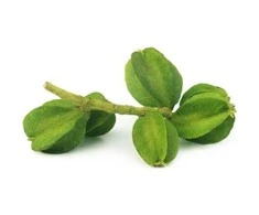 Ayumi Naturals Plikasis viršūklis Arjuna, ekologiškas, Planet Ayurveda, 60 kapsulių