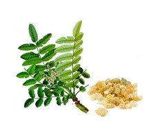 Ayumi Naturals Pluoštinė bosvelija ir ciberžolė Boswellia Curcumin, ekologiška, Planet Ayurveda, 60 kapsulių
