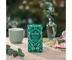 Pukka Herbs Gaivi arbata su eukaliptu Įkvėpkite, Pukka, 20 pakelių