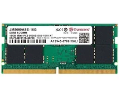 RAM TRANSCEND 16GB JM DDR5 5600 SO-DIMM 1Rx8 2Gx8 CL46 1.1V