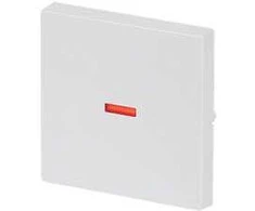 BUSCH JAEGER BJ 1789-84 Abdeck.f.Aus-Wechsel-Kreuz- Kontroll-Schalter future linear sws