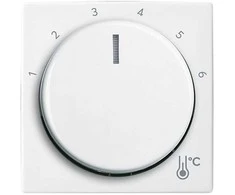 BUSCH JAEGER BJ 1794 R-914 1794 R-914 Zentralscheibe Temperatur. rund