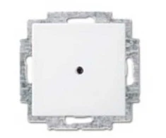 BUSCH JAEGER BJ 2538-914 Blindzentralscheibe alpinws Busch balance SI Abd.Datenkommunikation