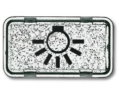 BUSCH JAEGER BJ 2622LI-101 Tastersymbol Licht Allwetter 44 glasklar