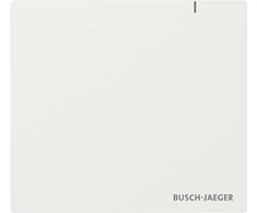 BUSCH JAEGER BJ SAP.13 System Access Point 3.0