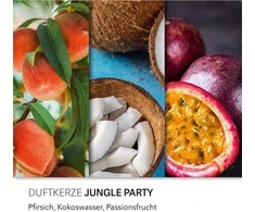 Haribo A2184 žvakė Cilindro formos alyvinė 1 vnt.