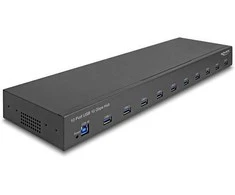 DELOCK 48.26cm 19Zoll Industrie Hub 10 x USB 10 Gbps Typ-A