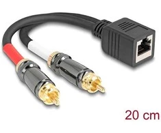 Delock Adapterkabel RJ45 Buchse zu 2 x Cinch Stecker juodas 20 cm
