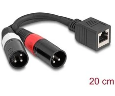 Delock Adapterkabel RJ45 Buchse zu 2 x XLR 3 Pin Stecker juodas 20 cm
