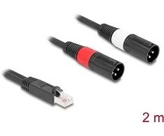 Delock Adapterkabel RJ45 Stecker zu 2 x XLR 3 Pin Stecker juodas 2 m