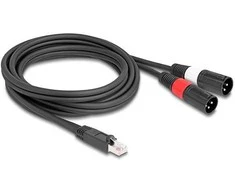 Delock Adapterkabel RJ45 Stecker zu 2 x XLR 3 Pin Stecker juodas 2 m